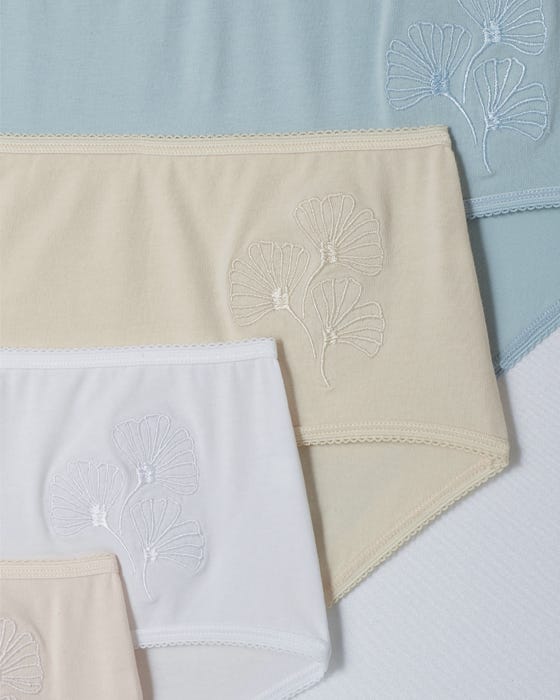 Pack of 4 Maxi Briefs