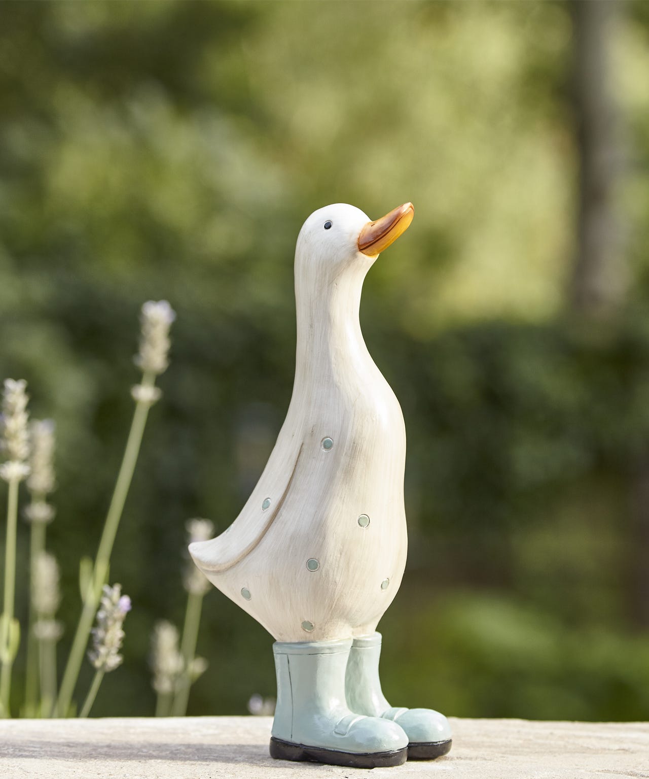 Decorative Duck