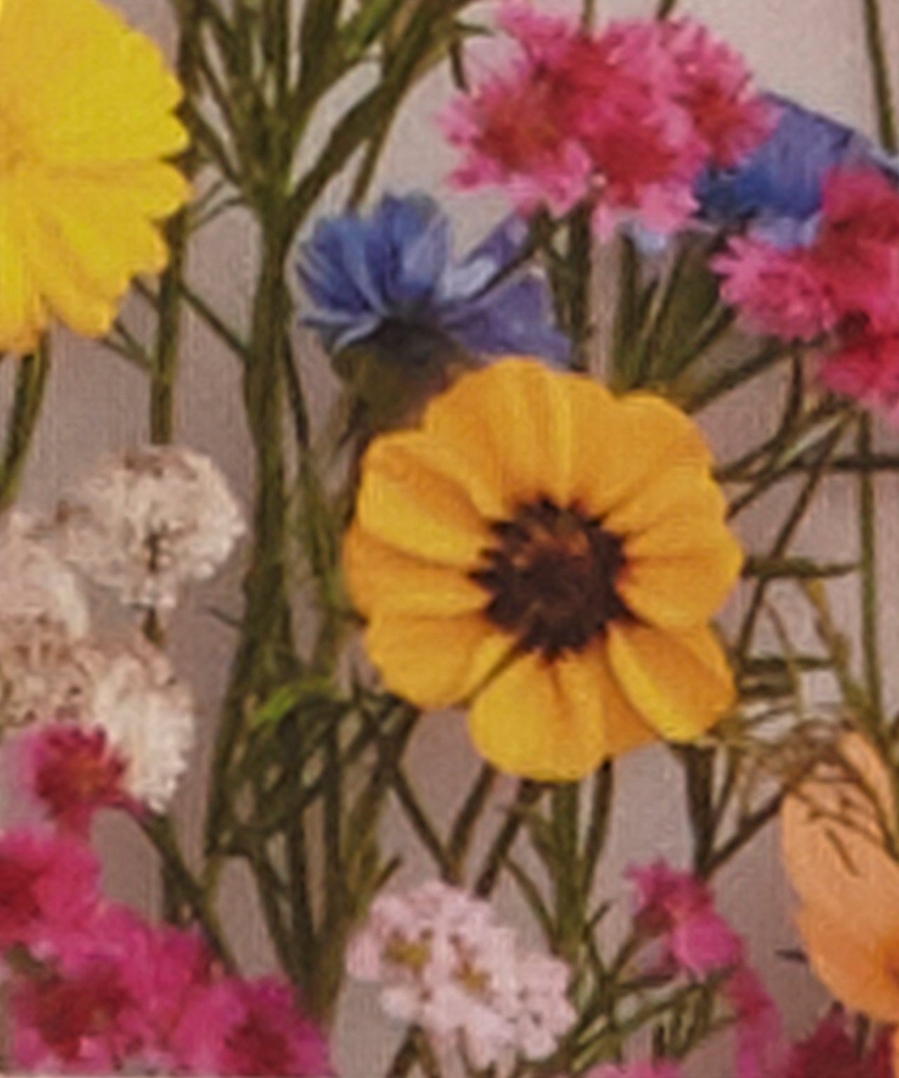 Blissful Bath Gift Set