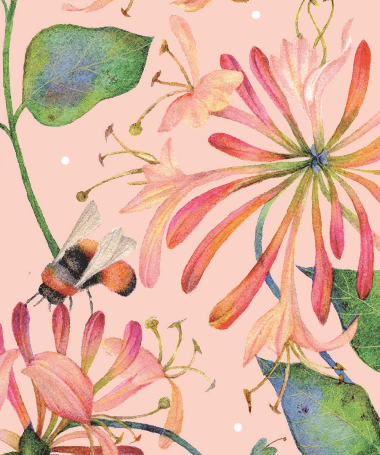Honeysuckle A5 Diary 