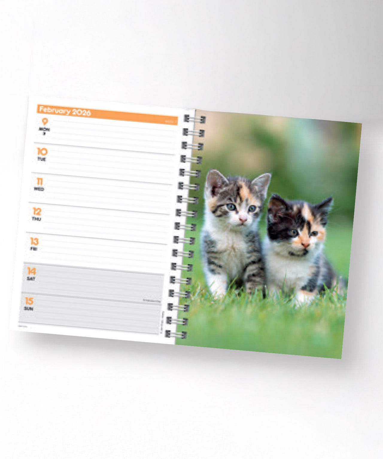 Kittens A5 Diary