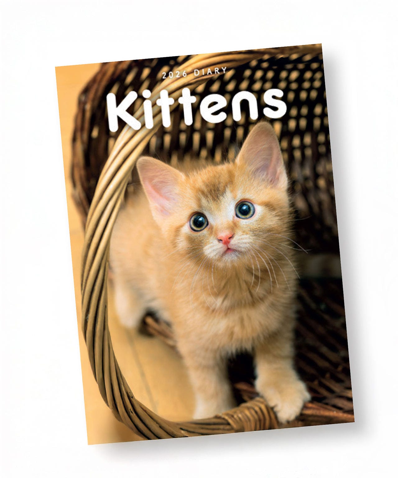 Kittens A5 Diary