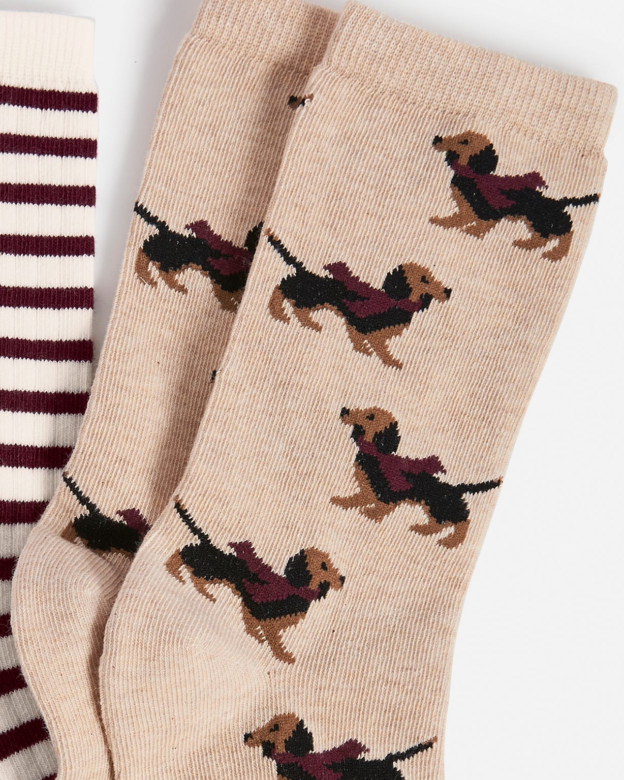 Pack of 2 socks 