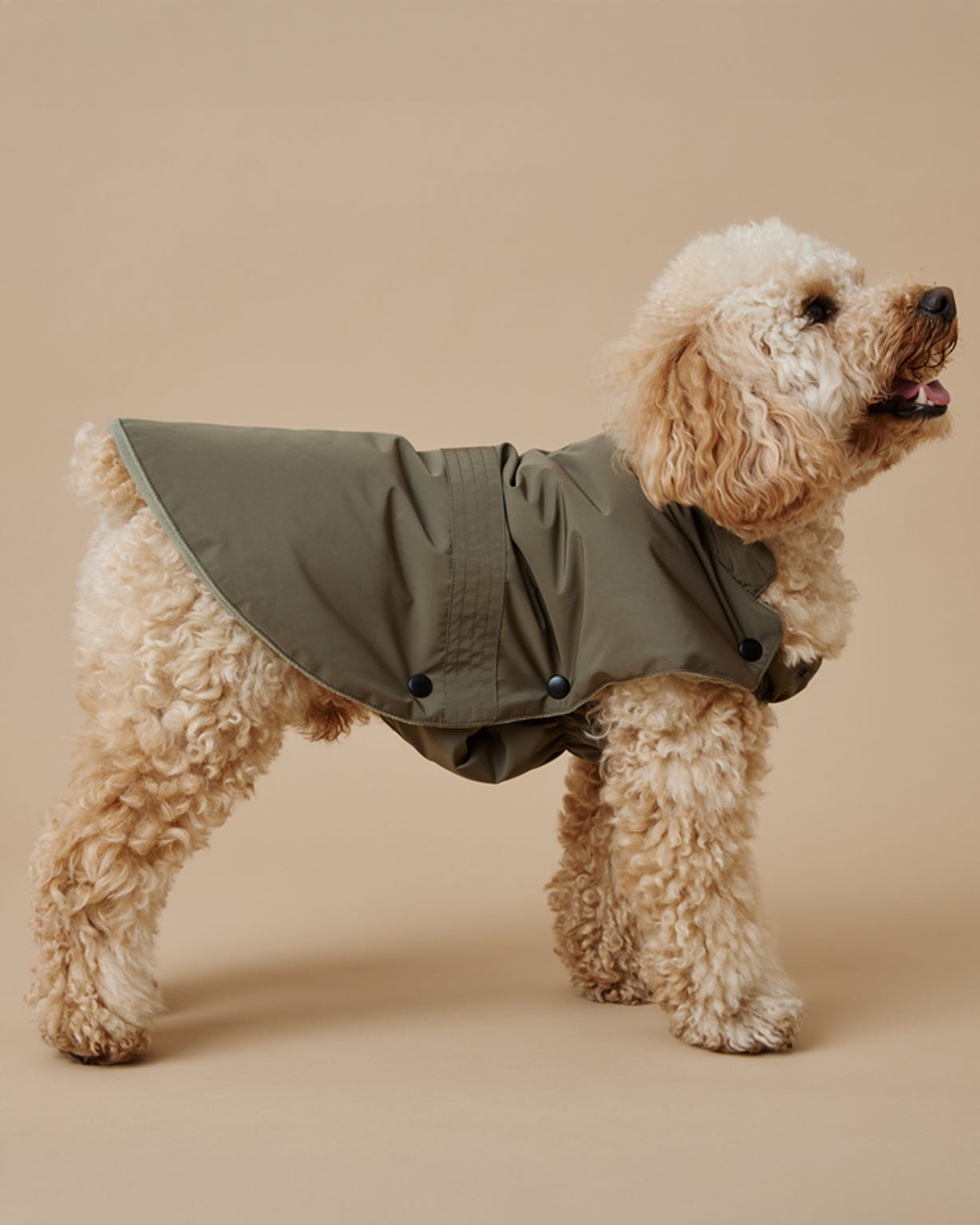 Rain Protect Dog Coat 