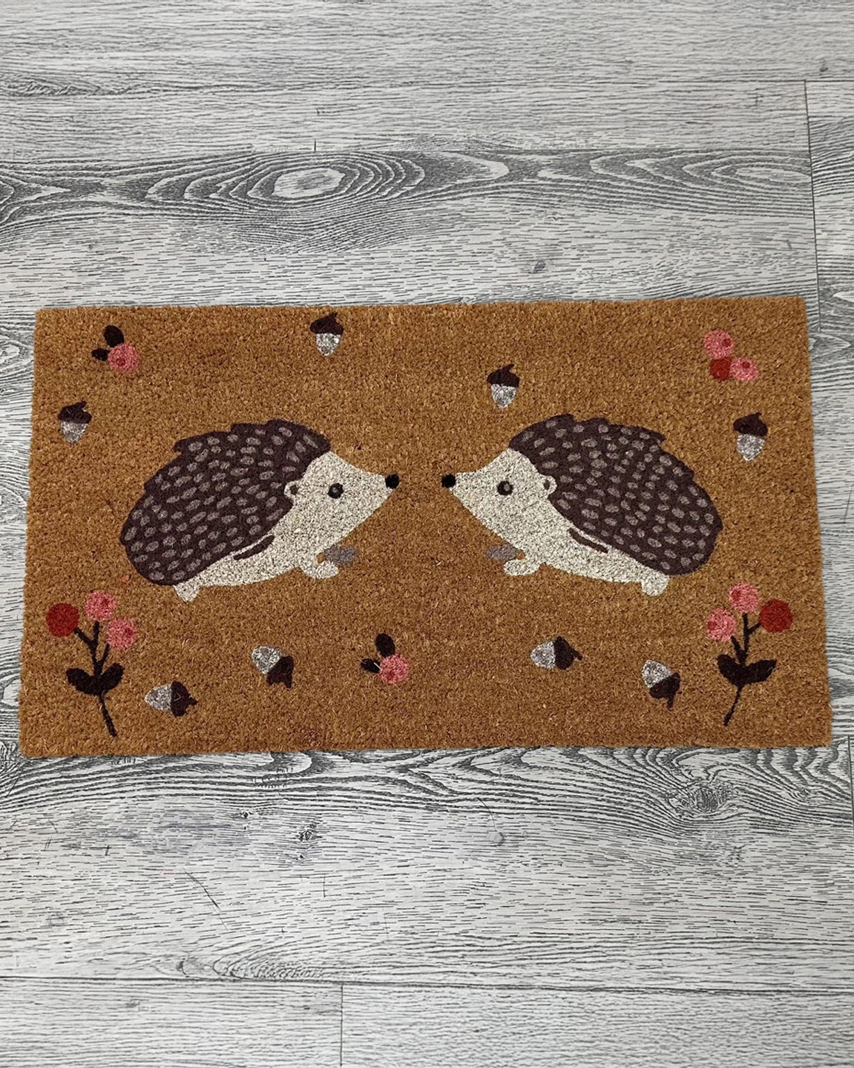 Hedgehog Coir Mat 