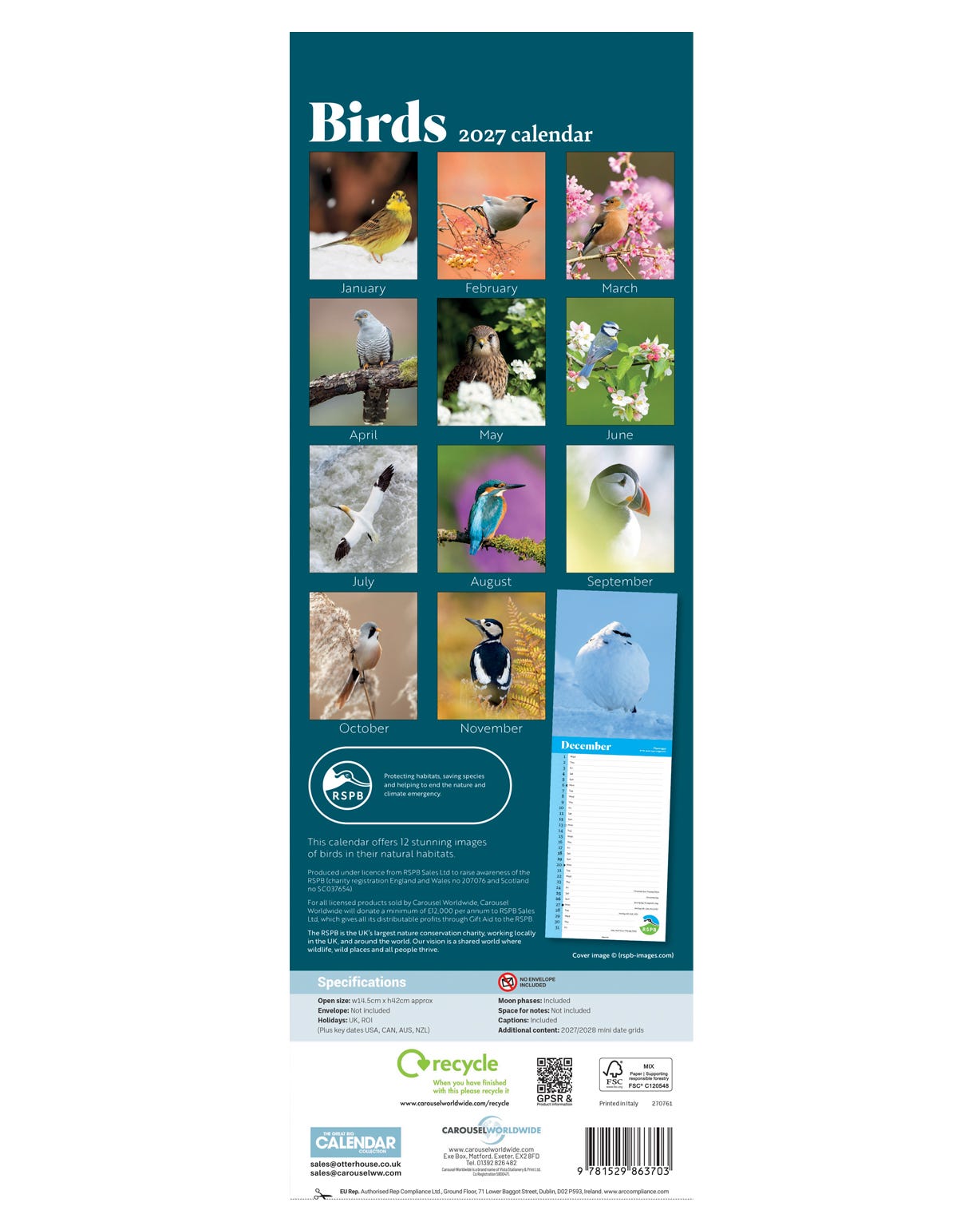 RSPB Slim Birds Calendar 