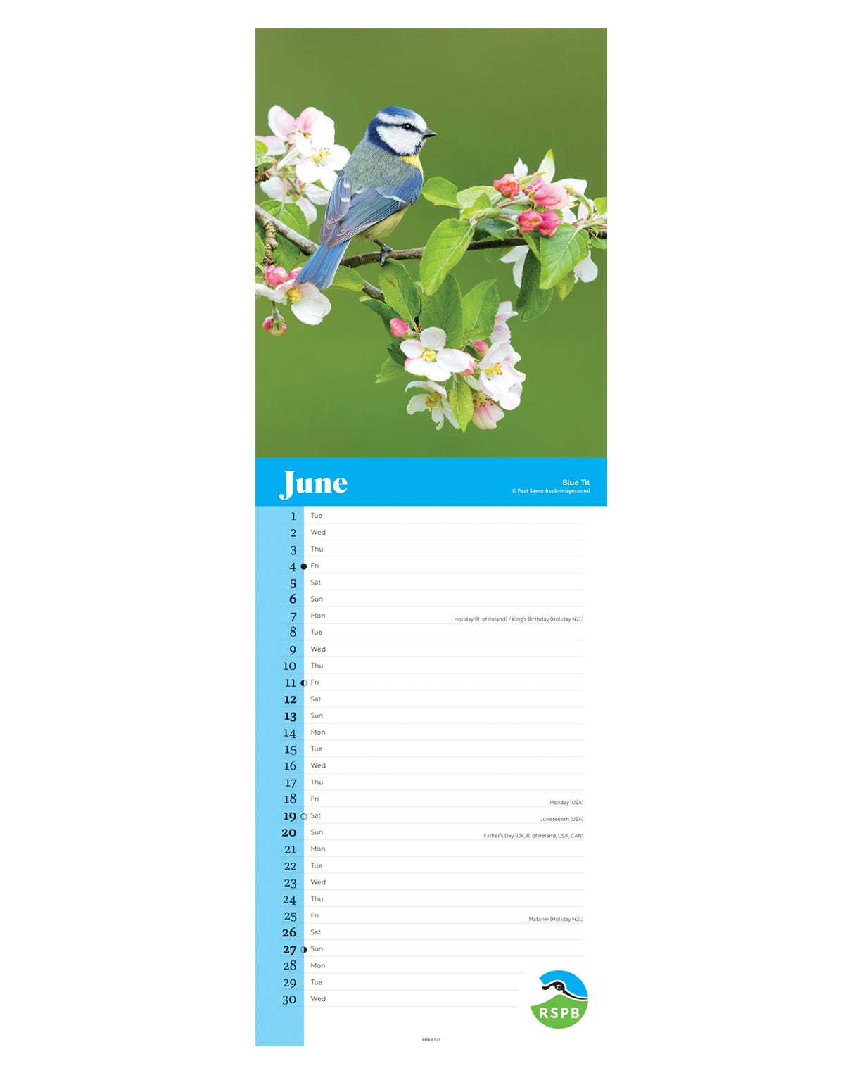 RSPB Slim Birds Calendar 