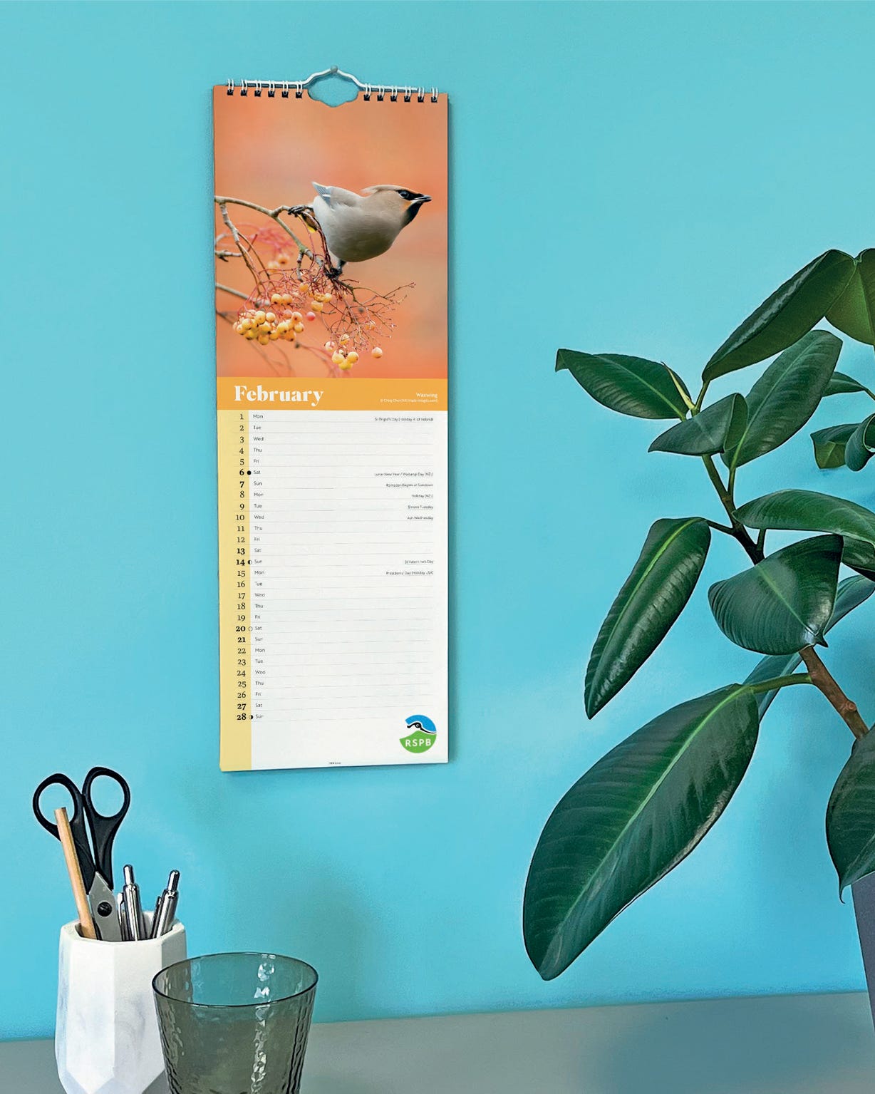 RSPB Slim Birds Calendar 