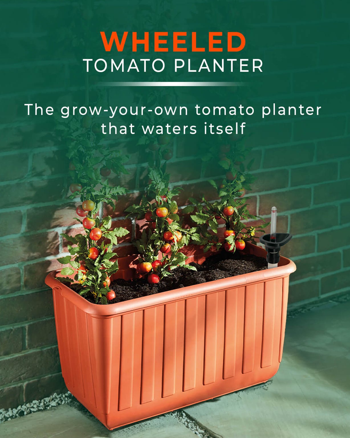 EZ Grow Tomato Planter