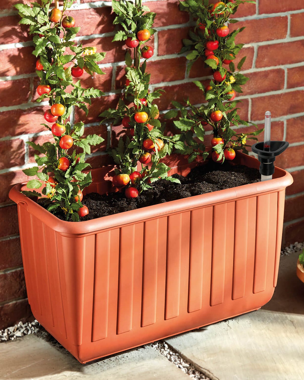 EZ Grow Tomato Planter