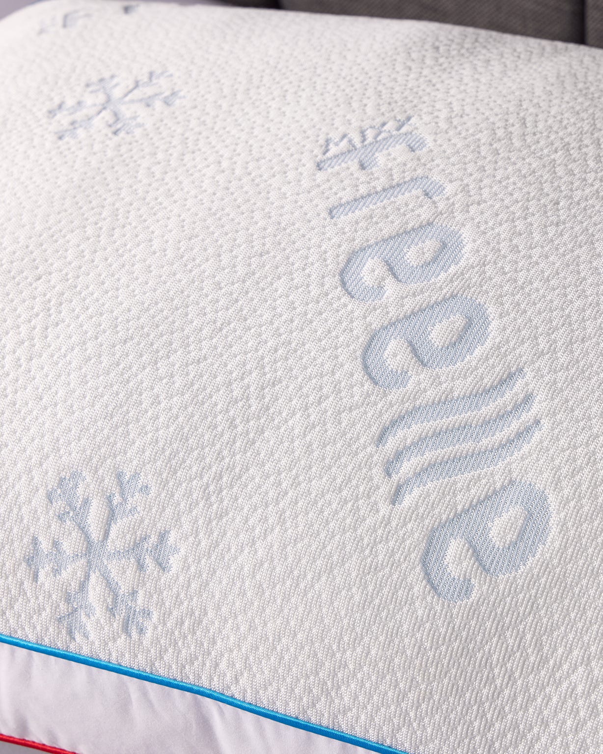 The All Seasons Pillow 