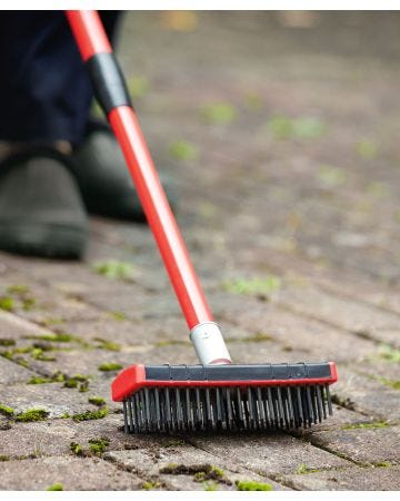 Set of 2 Garden Brushes