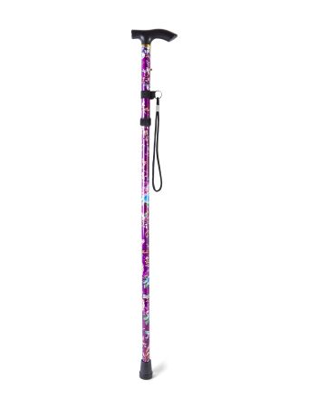 Walking stick