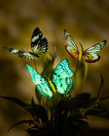 Glow in the Dark Butterflies