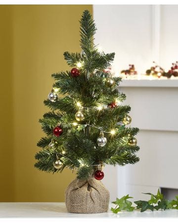 Tree in Hessian Pot