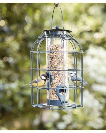 Anti pest bird feeder