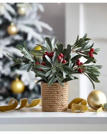 23cm Dusty Mistletoe Pot Red Berries