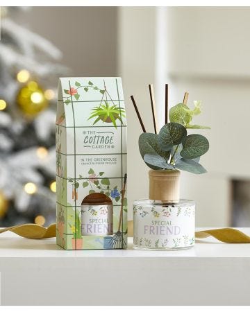 Friend Diffuser