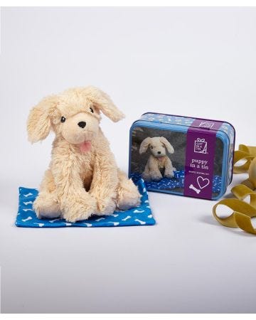 Gift in a Tin Puppy Kit