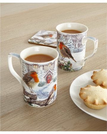 Robin 2 Pk Mug