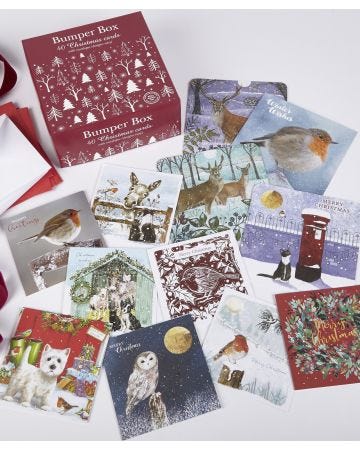 Bumper Box of 40 Christmas Cards