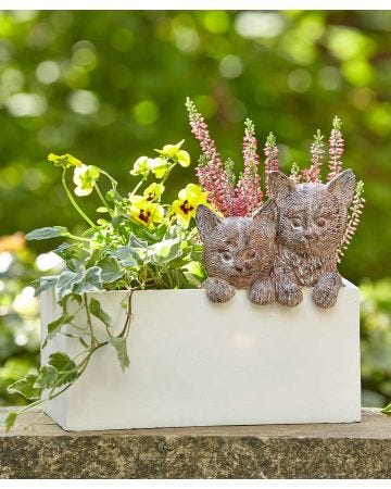 Cats Planter