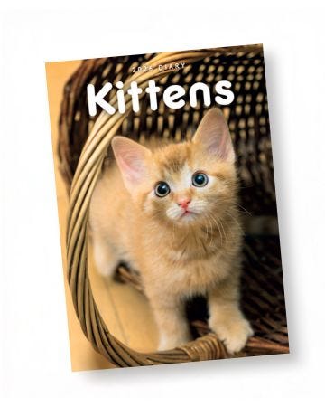 Kittens A5 Diary