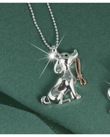 Silver Plated Companion Necklace