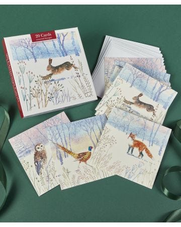 Wild Winter - 20 Large Cards