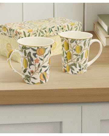 Set of 2 Fruits Mugs