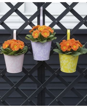 Set of 3 Metal Hanging Flower Pots