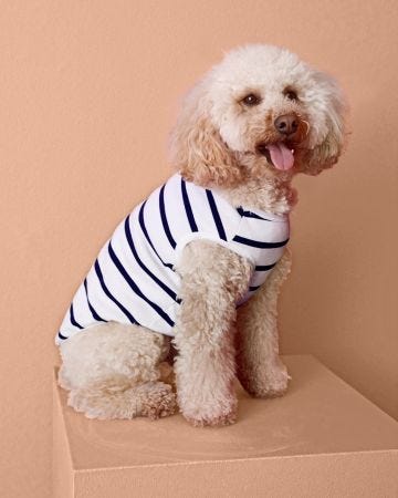 Thermolactyl Stripe Dog Jumper 