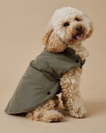 Rain Protect Dog Coat 