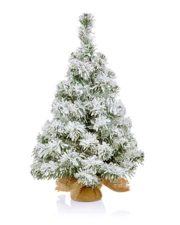 Burlap Flocked Tree