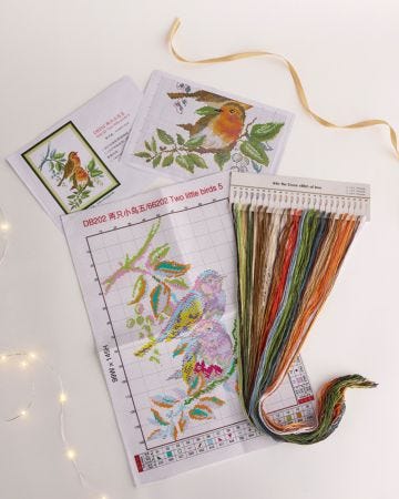 Robin Cross-Stitch Set 