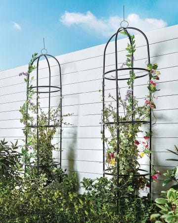 Set 2 Garden Obelisks