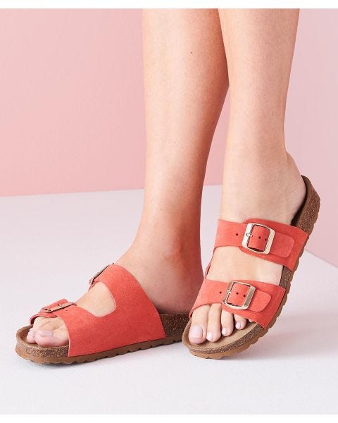 Piedical Mule