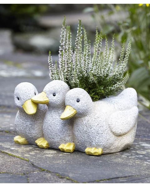 Trio of ducks planter