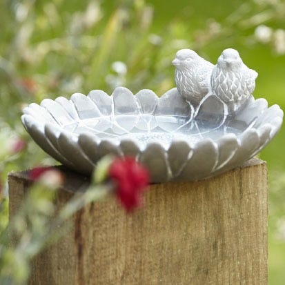 Shop garden