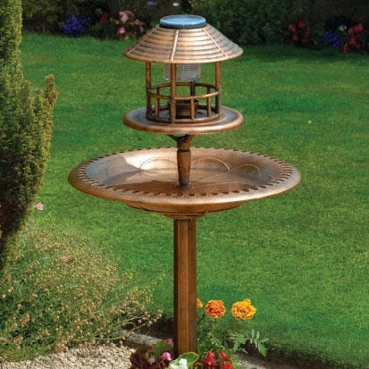 Shop garden
