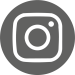 insta_icon